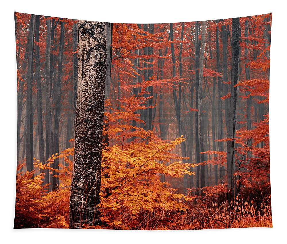 Mist Tapestry featuring the photograph Welcome To Orange Forest by Evgeni Dinev