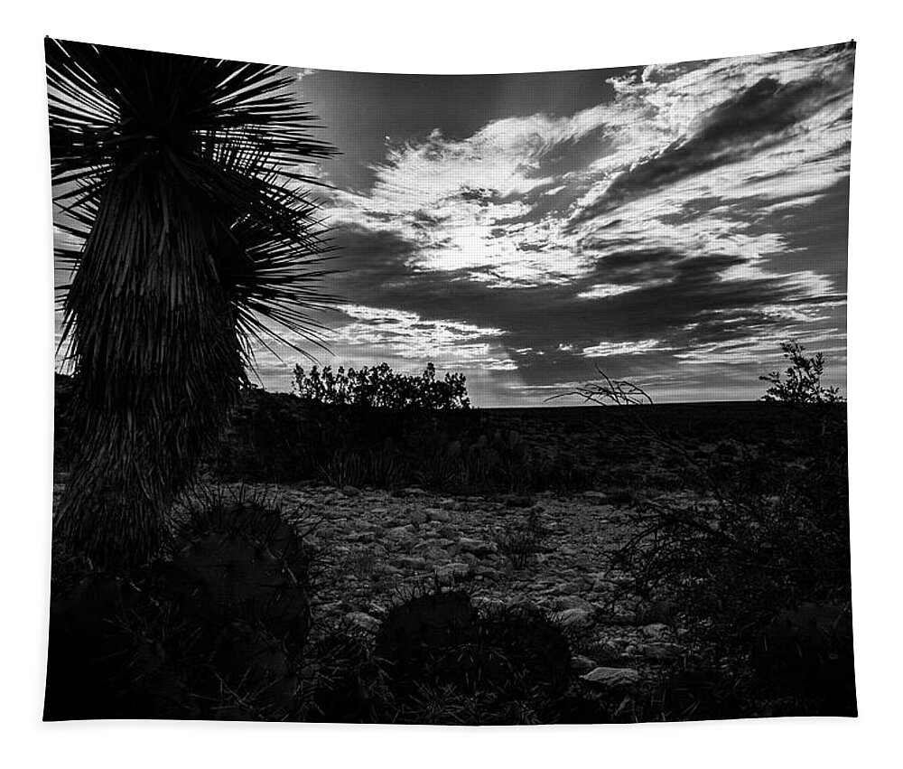 Black Tapestry featuring the photograph West Texas Desert Sky by Jason Hughes