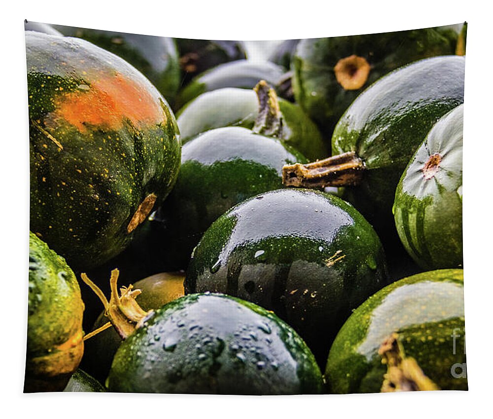 Pumpkin Tapestry featuring the photograph Wet green pumpkins by Lyl Dil Creations