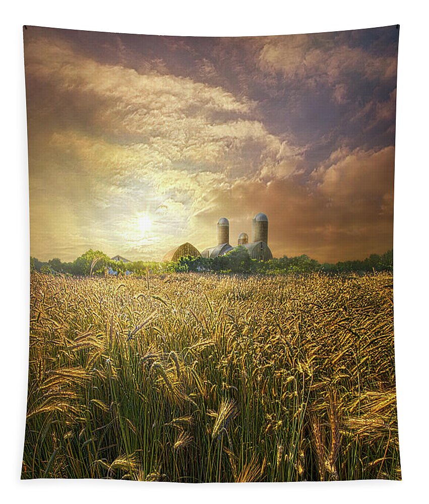 Life Tapestry featuring the photograph Wheat Dream by Phil Koch
