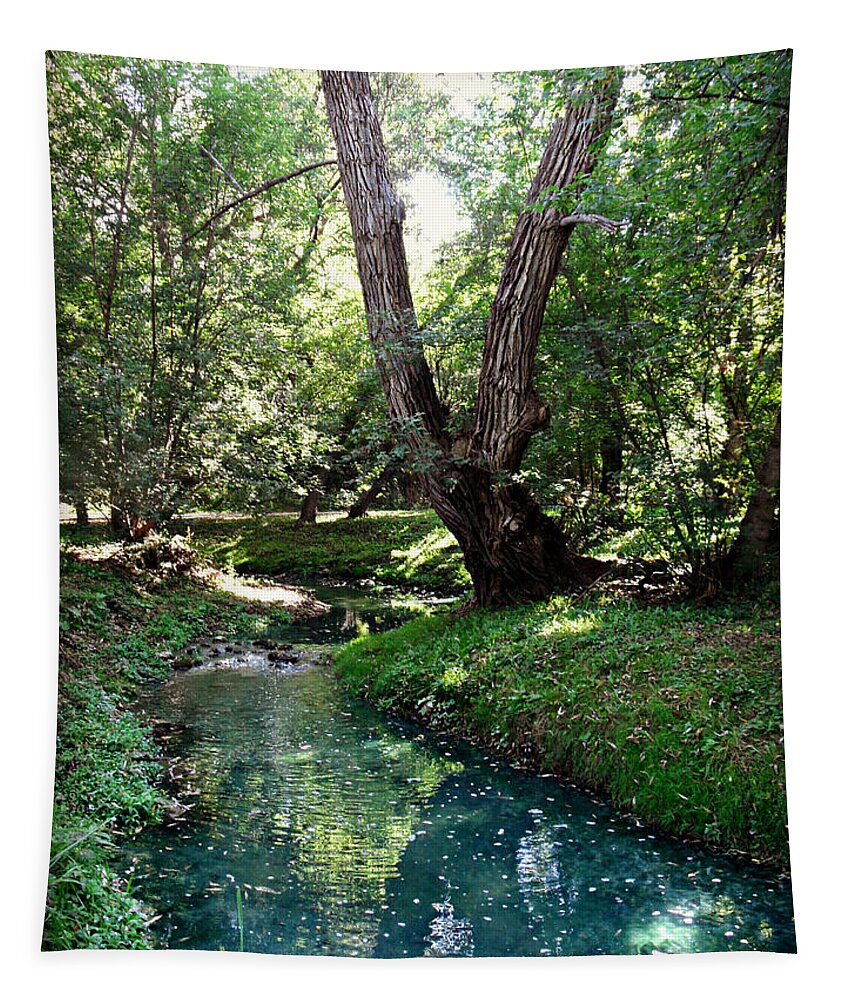 Whispering Corners Tapestry featuring the photograph Whispering Corners by Cyryn Fyrcyd