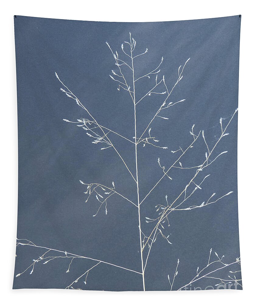 Photograph Tapestry featuring the photograph Wispy Stems of Grass by Christy Garavetto