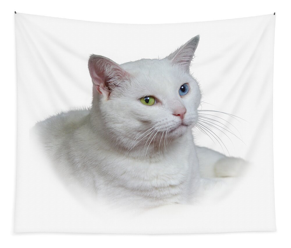 Fur Tapestry featuring the photograph White Cat on a Transparent Heart by Terri Waters