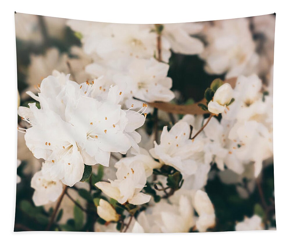 Moody Tapestry featuring the photograph White Mini azaleas #floral by Andrea Anderegg