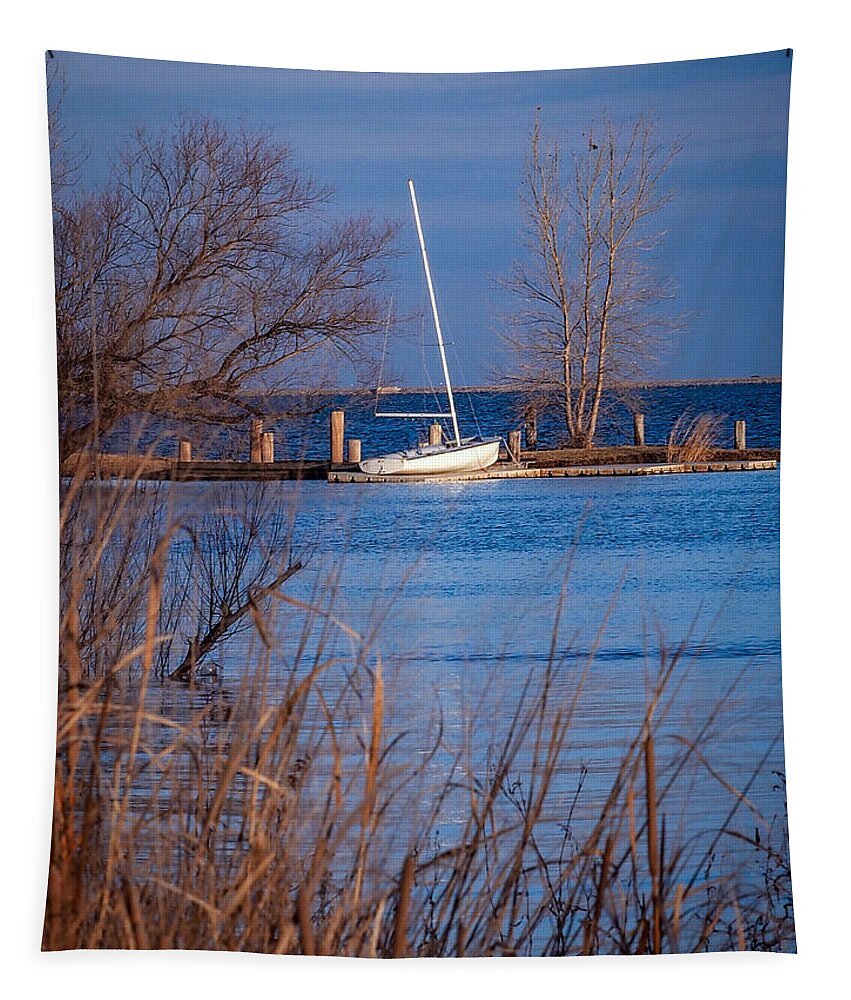 Sail Tapestry featuring the photograph White on Blue by Buck Buchanan