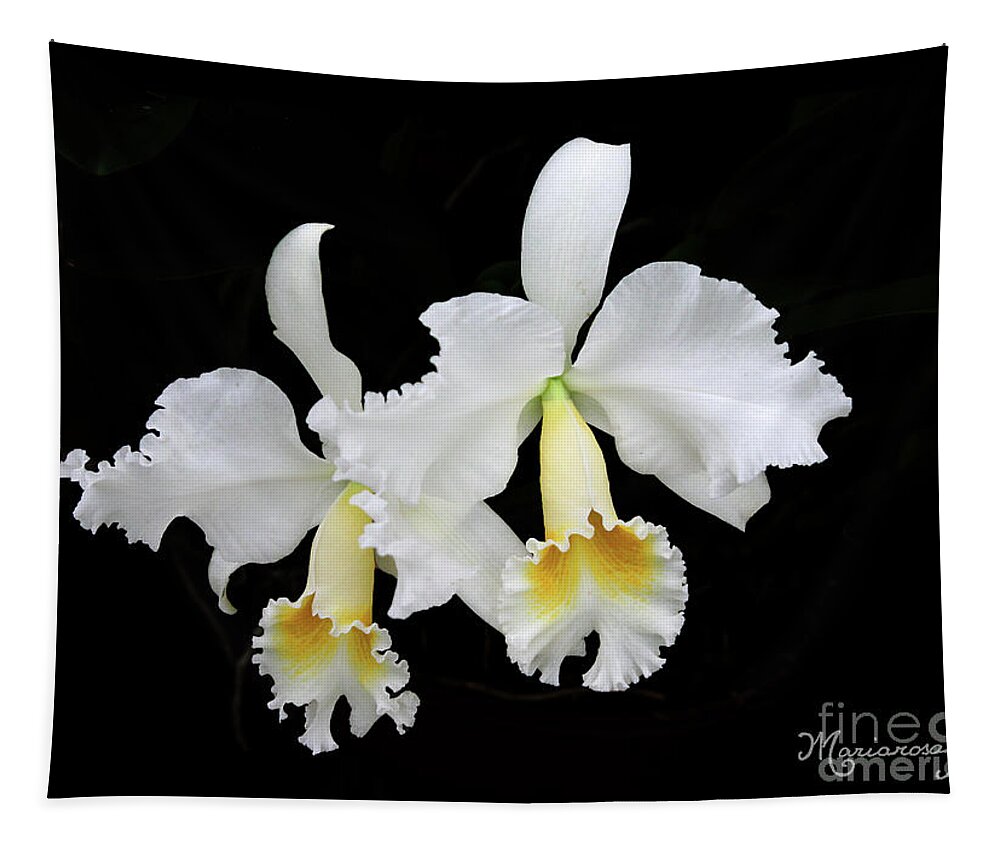 Nature Tapestry featuring the photograph White Orchid Duo by Mariarosa Rockefeller