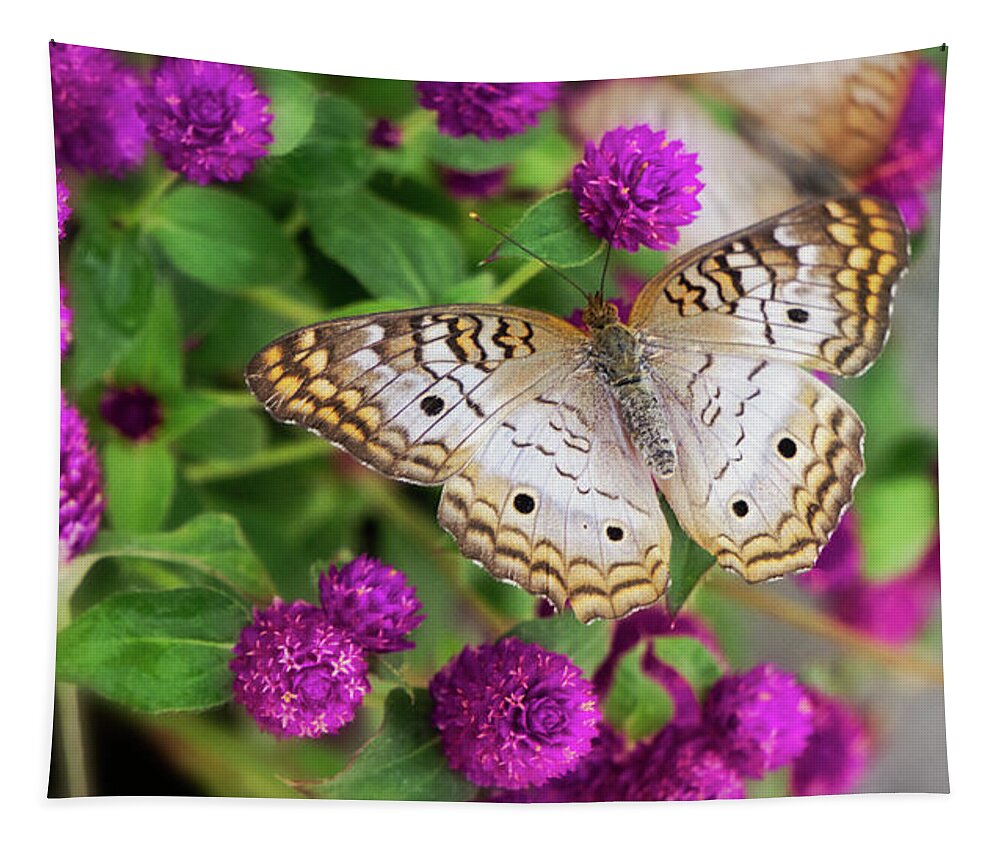 Anartia Jatrophae Tapestry featuring the photograph White Peacock Butterfly on Pink Flowers  by Saija Lehtonen