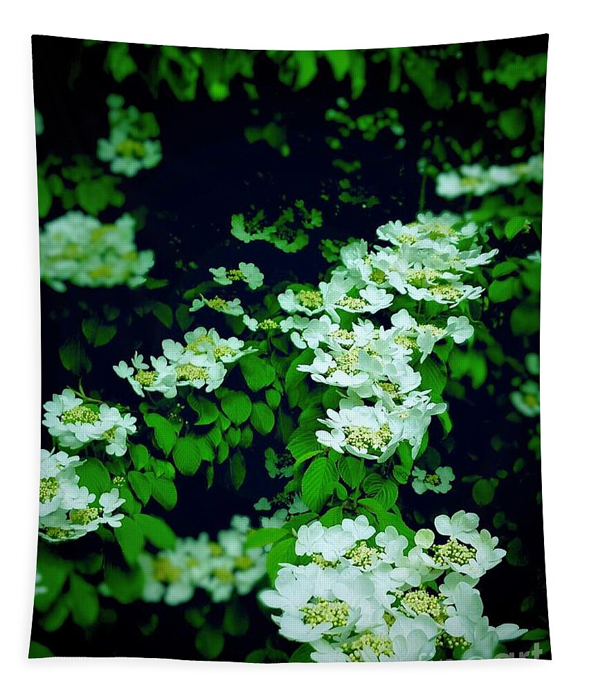White Blossoms Tapestry featuring the photograph White Steps into the Darkness by Gary F Richards