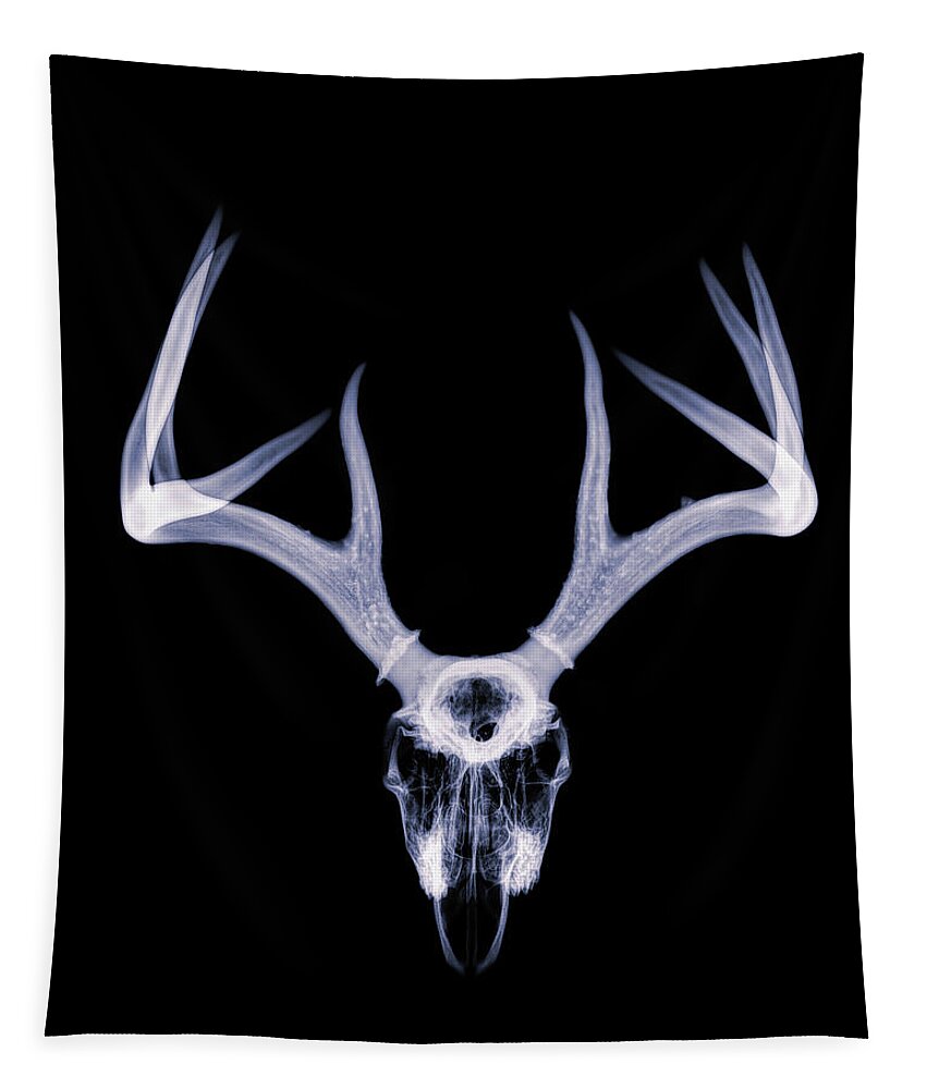 Kansas Tapestry featuring the photograph White-tailed Deer x-ray 012 by Rob Graham