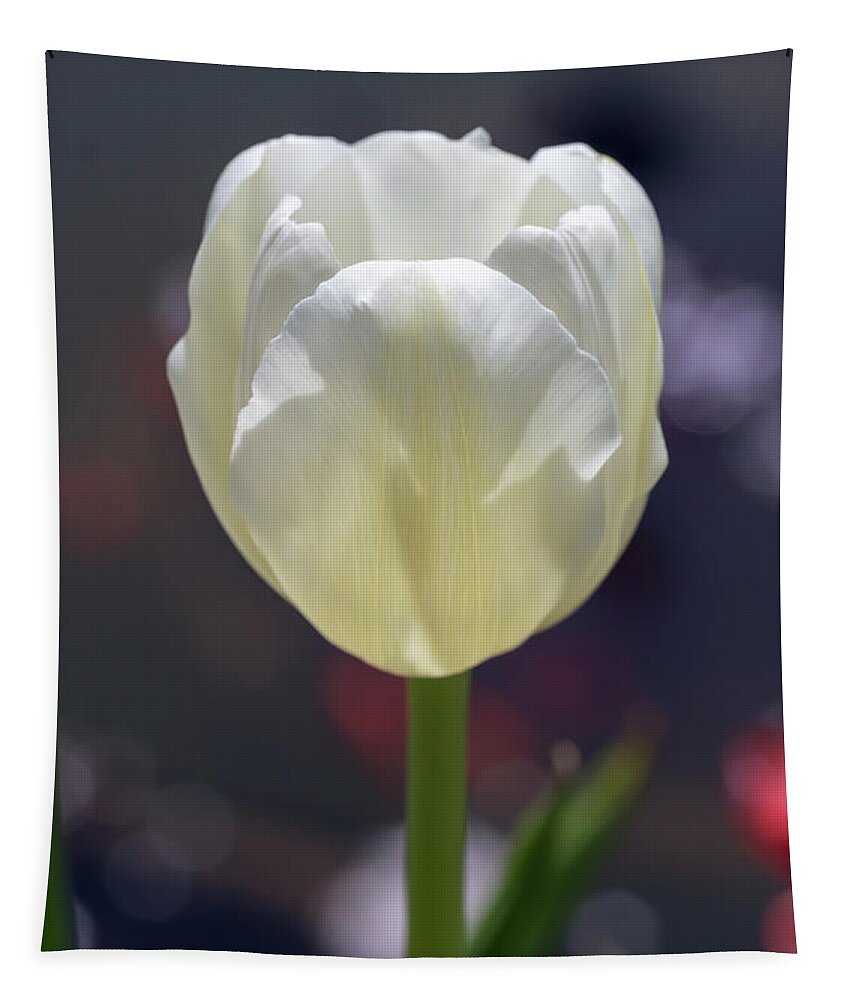 Flower Tapestry featuring the photograph White Tulip by Dawn Cavalieri