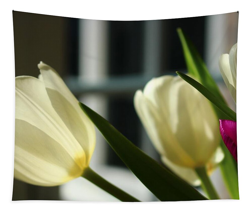 Tulip Tapestry featuring the photograph White Tulips By the Window by Loretta S