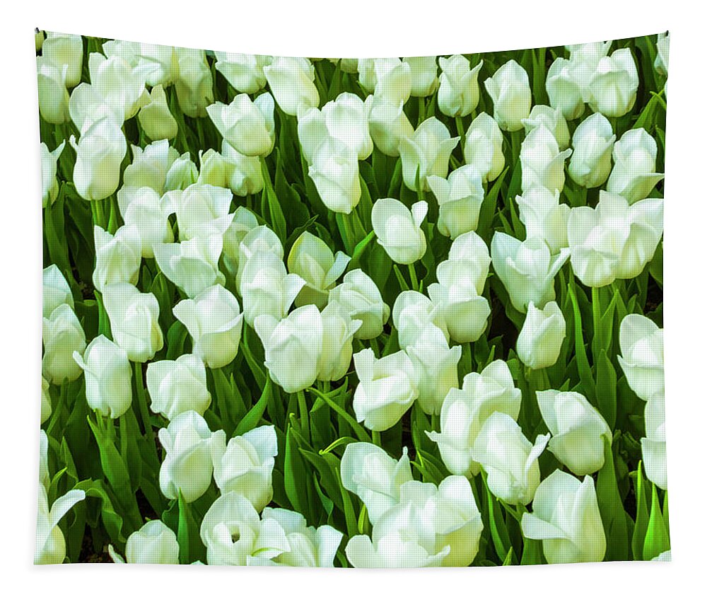 White Tulips On Green Tapestry featuring the photograph White Tulips on Green by Bonnie Follett