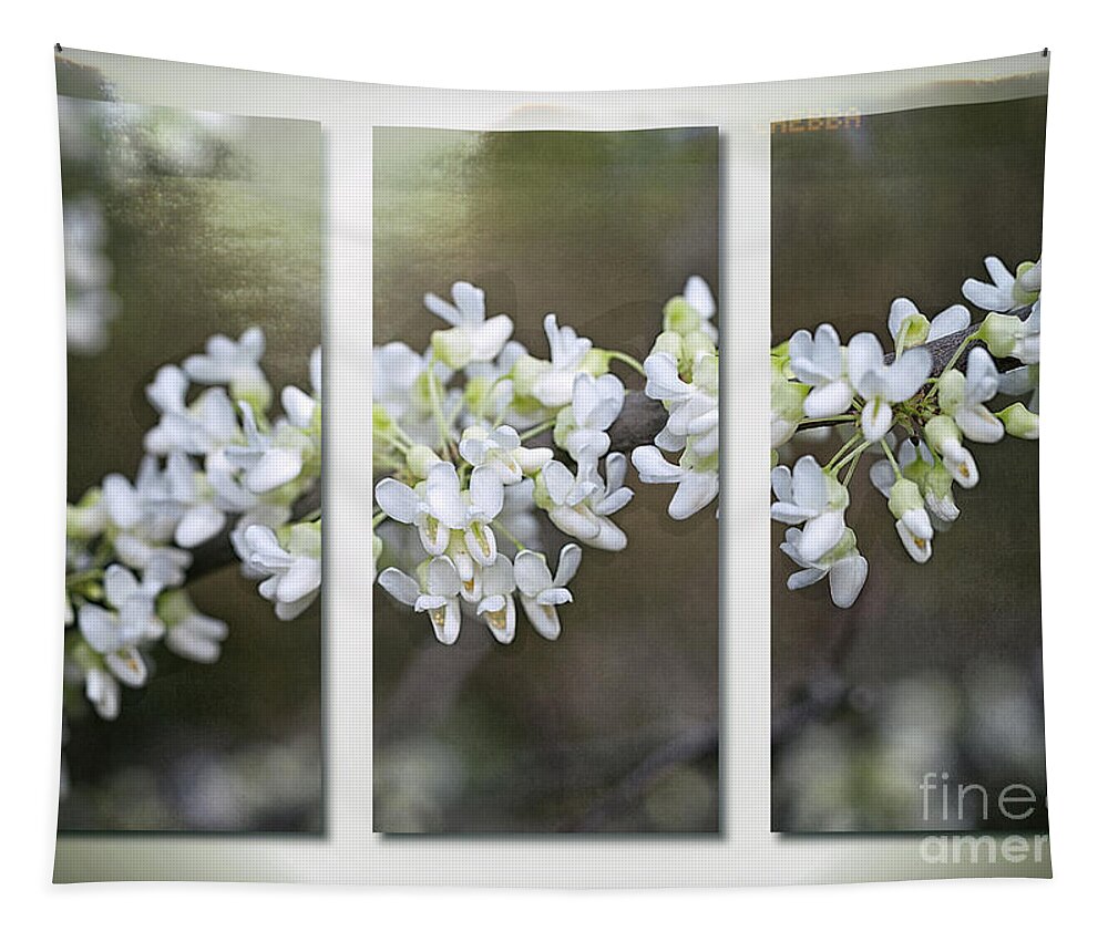 Flowers Tapestry featuring the photograph Whitebud Triptych by Ann Jacobson
