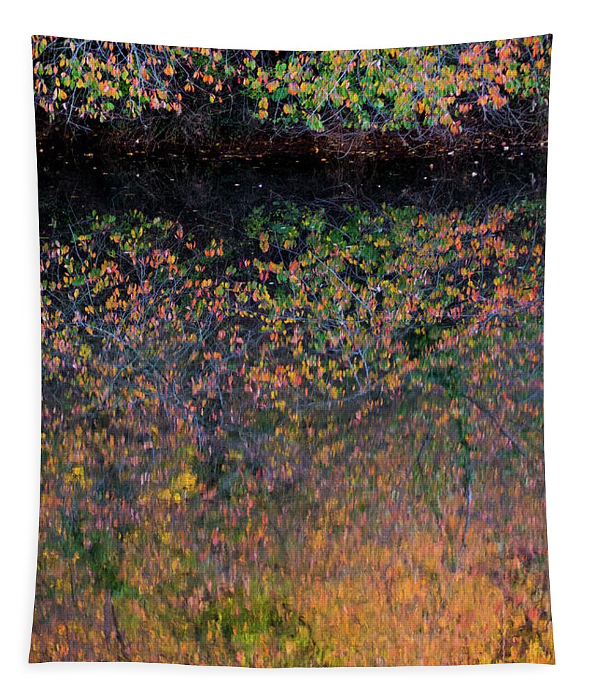 Wild Cherry Tapestry featuring the photograph Wild Cherry tree in the Fall, golden reflections on the river by Anita Nicholson