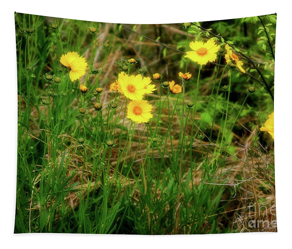 Wild Flowers Tapestry featuring the photograph Wild Flowers by Joan Bertucci