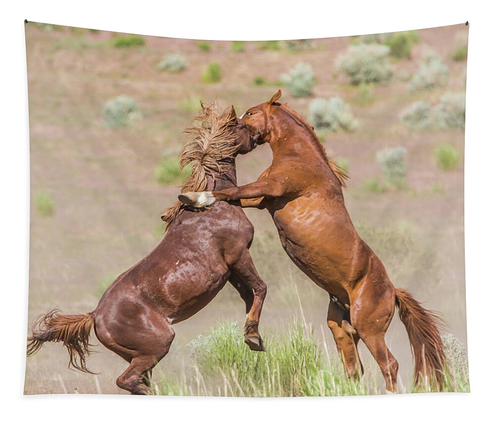 Nevada Tapestry featuring the photograph Wild Horse Fight by Marc Crumpler