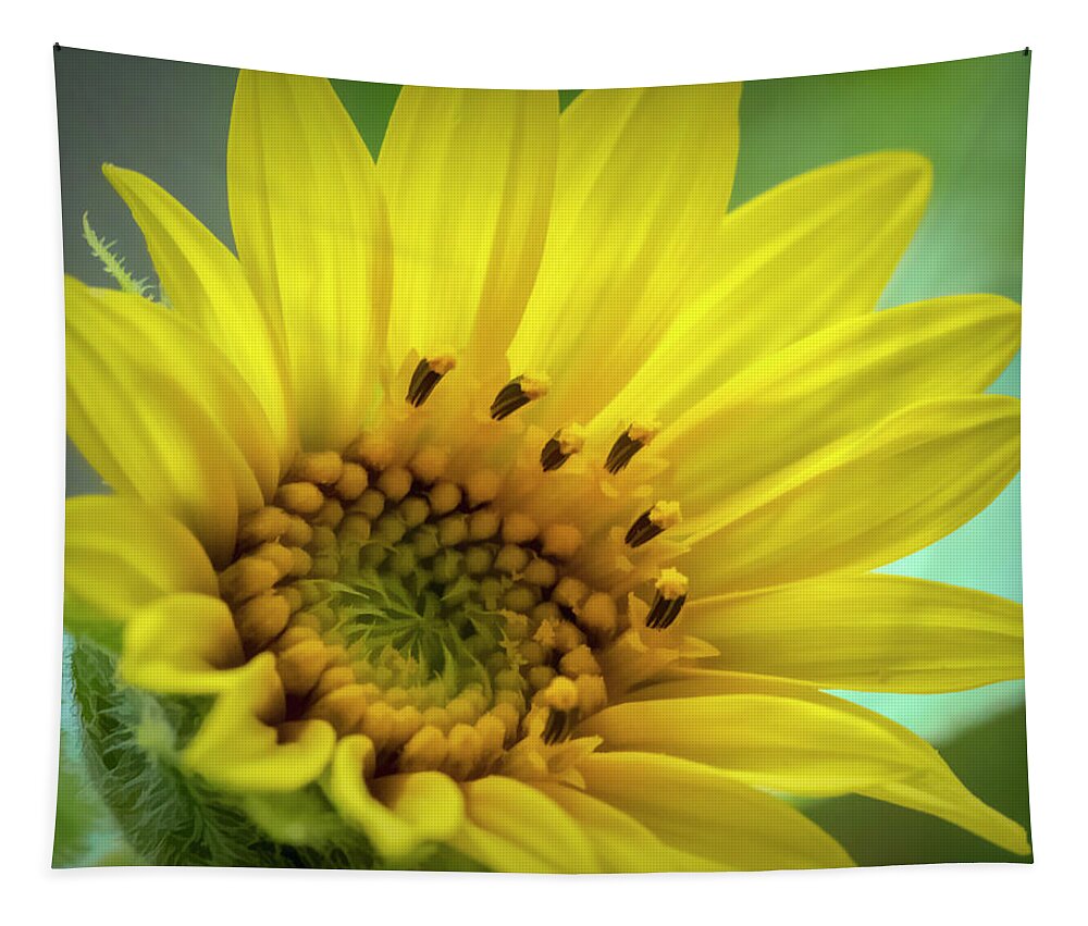 Sunflower Tapestry featuring the photograph Wild Sunflower by Cathy Kovarik