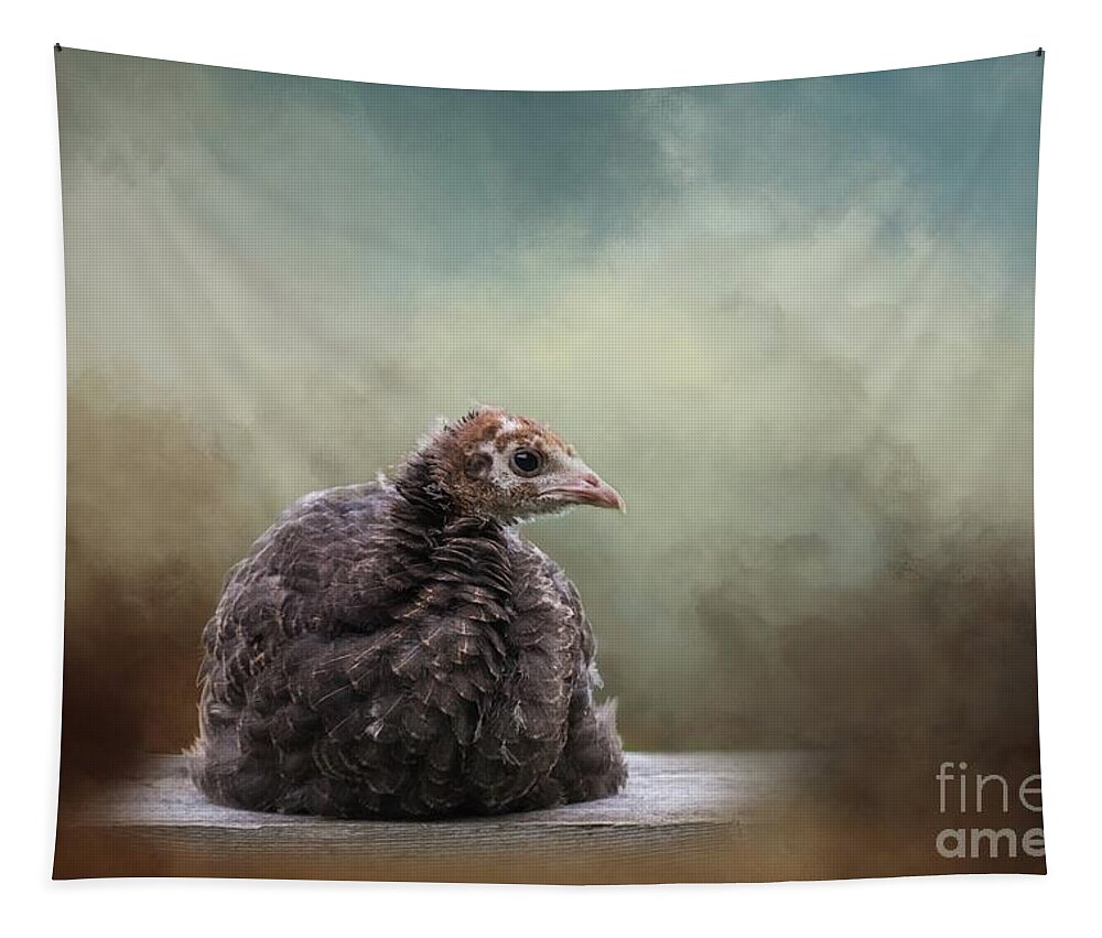 Wild Turkey Tapestry featuring the photograph Wild Turkey Chick by Eva Lechner