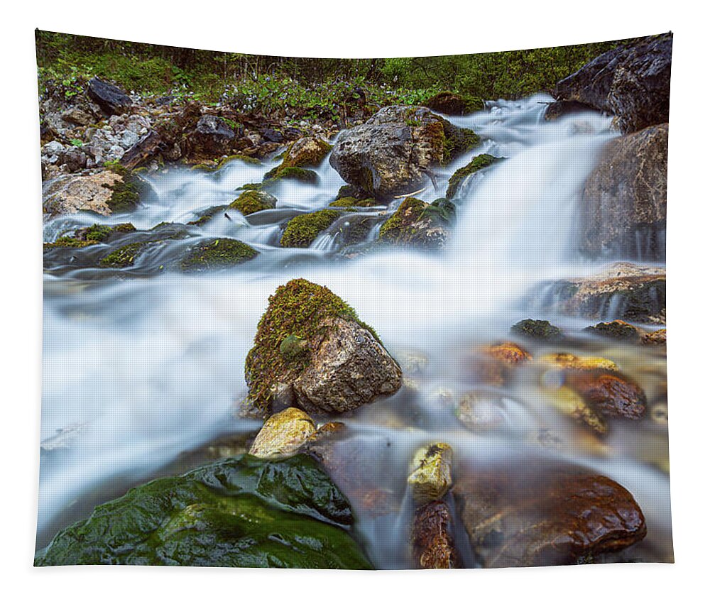 Nature Tapestry featuring the photograph Wimbach by Andreas Levi
