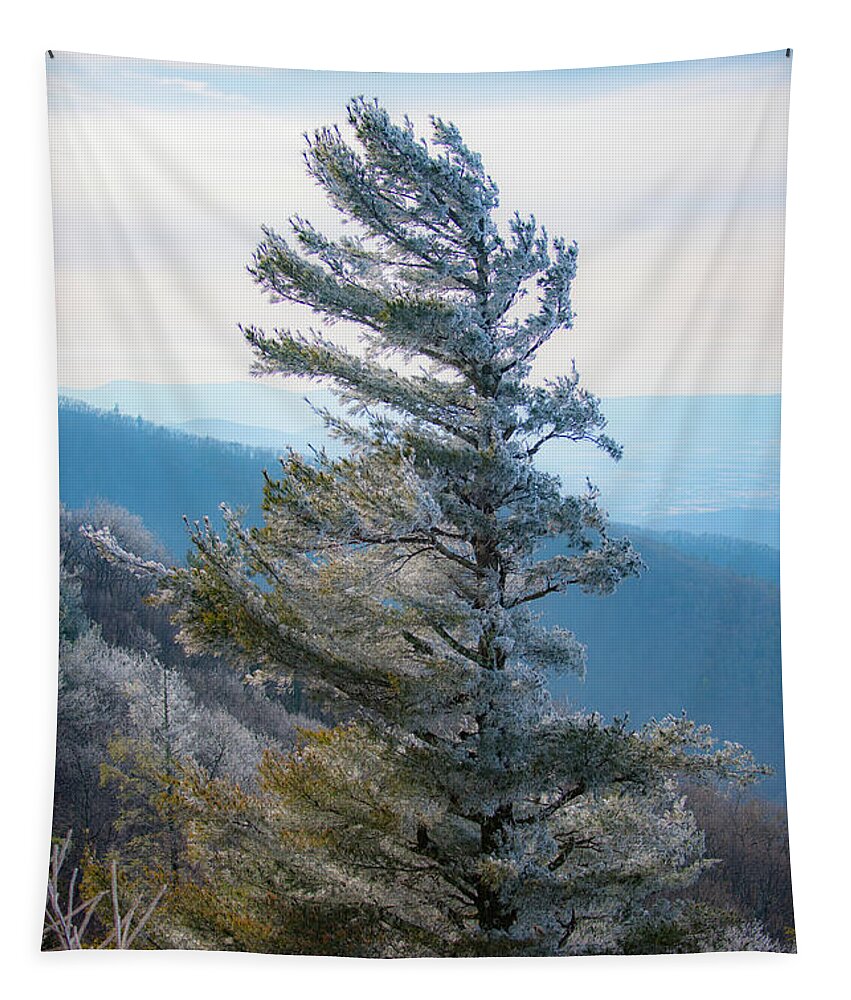 Blue Ridge Tapestry featuring the photograph Wind Shaped by Mark Duehmig