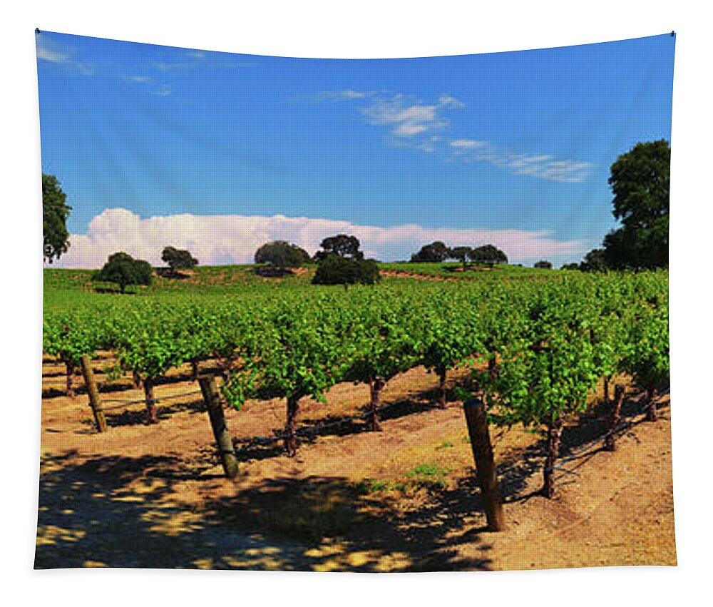Wine Country Tapestry featuring the photograph Wine Country Panorama by Greg Norrell