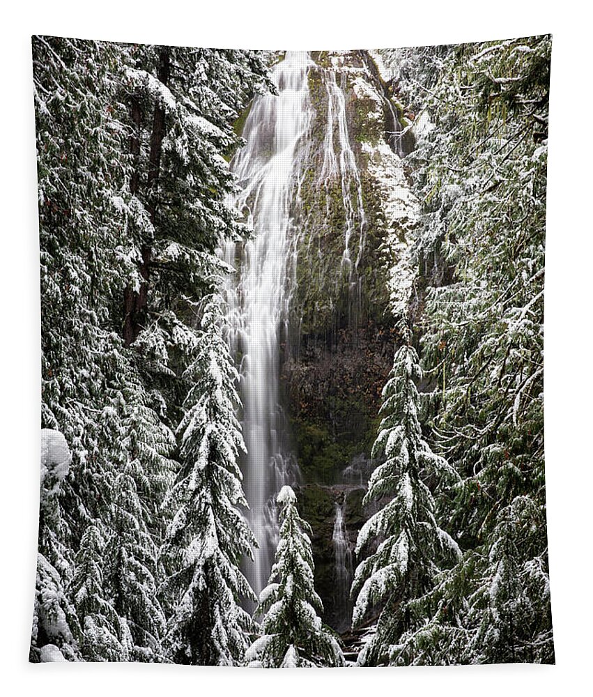 Falls Tapestry featuring the photograph Winter at Proxy Falls by Alex Mironyuk