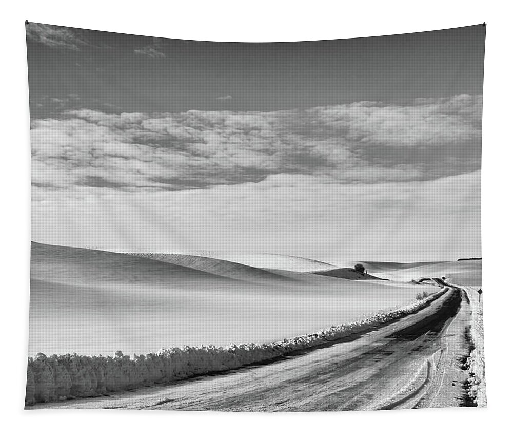 Winter Tapestry featuring the photograph Winter Country Road Black and White by Tatiana Travelways