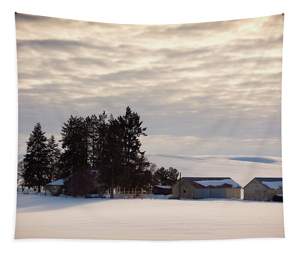 Winter Tapestry featuring the photograph Winter Farm at Golden Hour by Tatiana Travelways