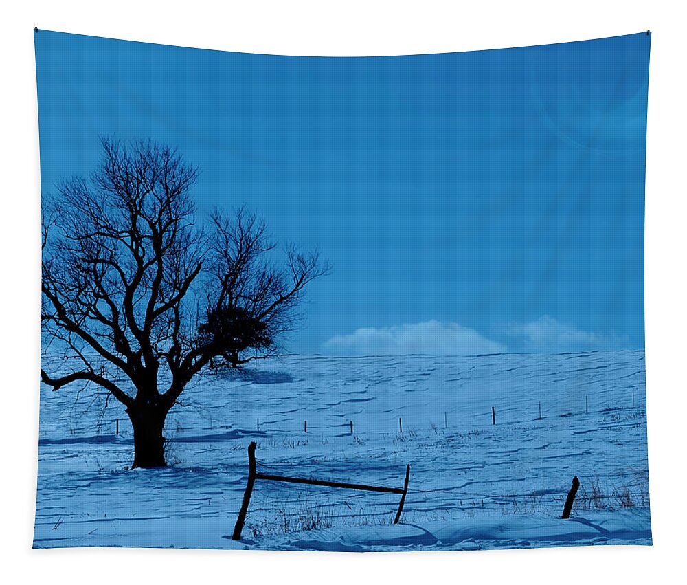 Winter Tapestry featuring the photograph Winter Moon Light Landscape by Sandra J's