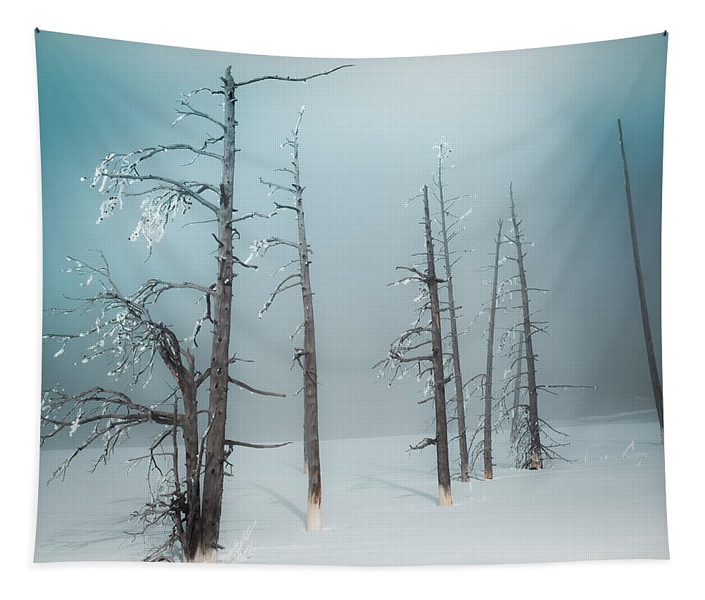 Aqua Tapestry featuring the photograph Winter Tranquility by Karen Wiles