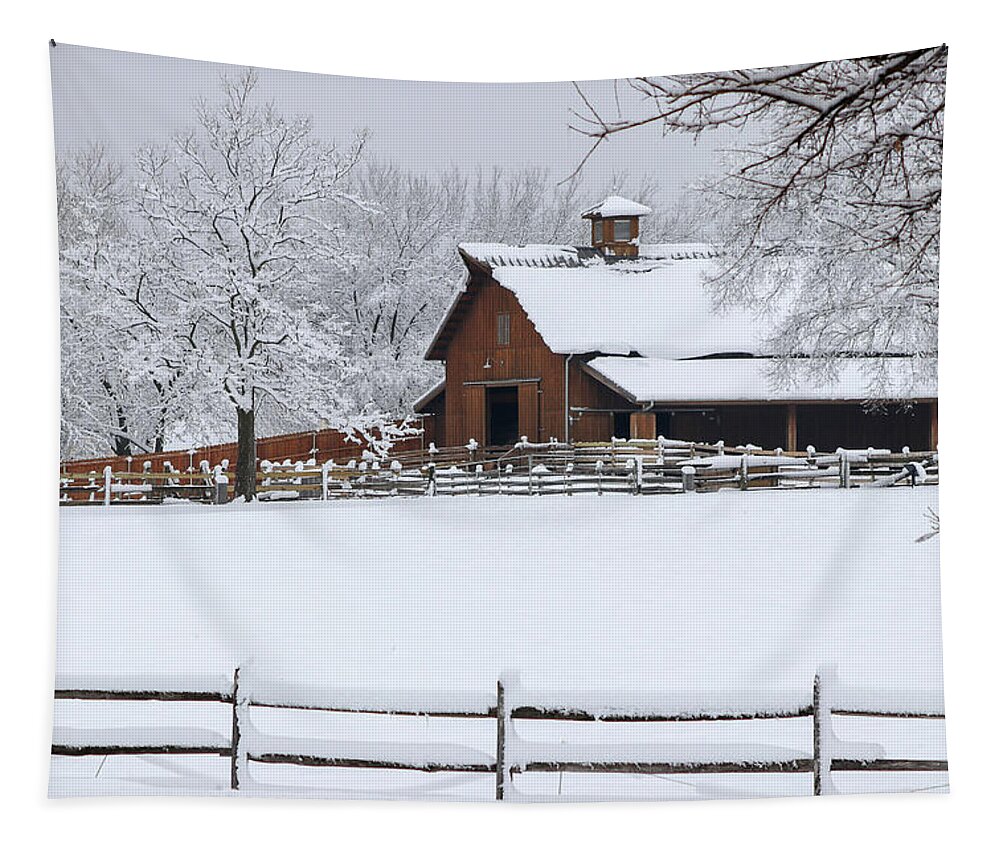 Kansas Tapestry featuring the photograph Wintry Barn by Mary Anne Delgado