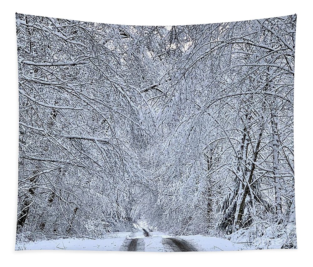 Photography Tapestry featuring the photograph Wintry Road by Sean Griffin