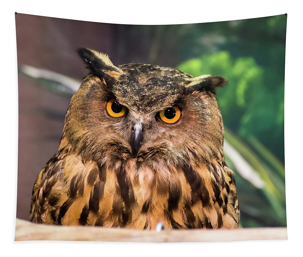 Owl Tapestry featuring the photograph Wisdom in Adversity by Alex Lapidus