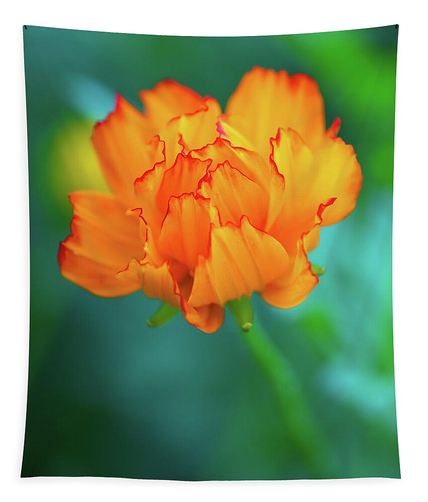 Airy Tapestry featuring the photograph Wispy Orange by Robert FERD Frank