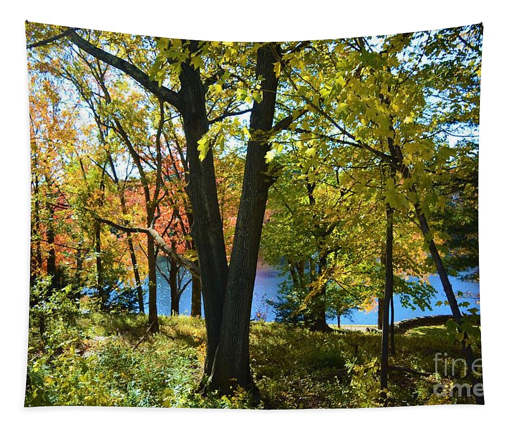 Trees Tapestry featuring the photograph With Trees and Water by Dani McEvoy