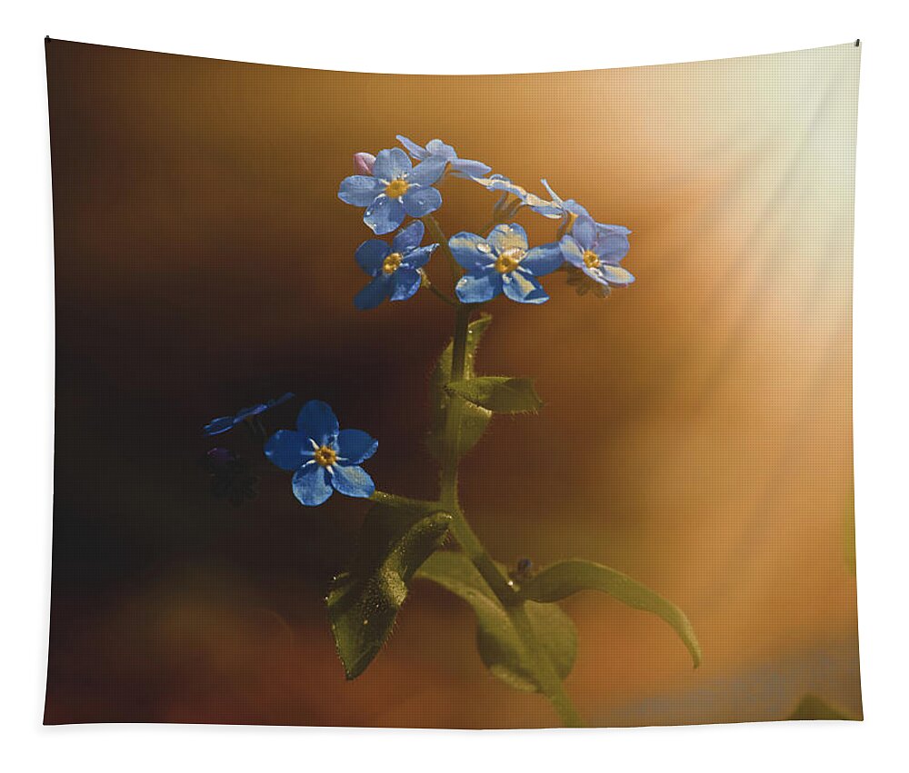 Wood Forget Me Not Tapestry featuring the photograph Woodland Forget-Me-Not by Bob Orsillo