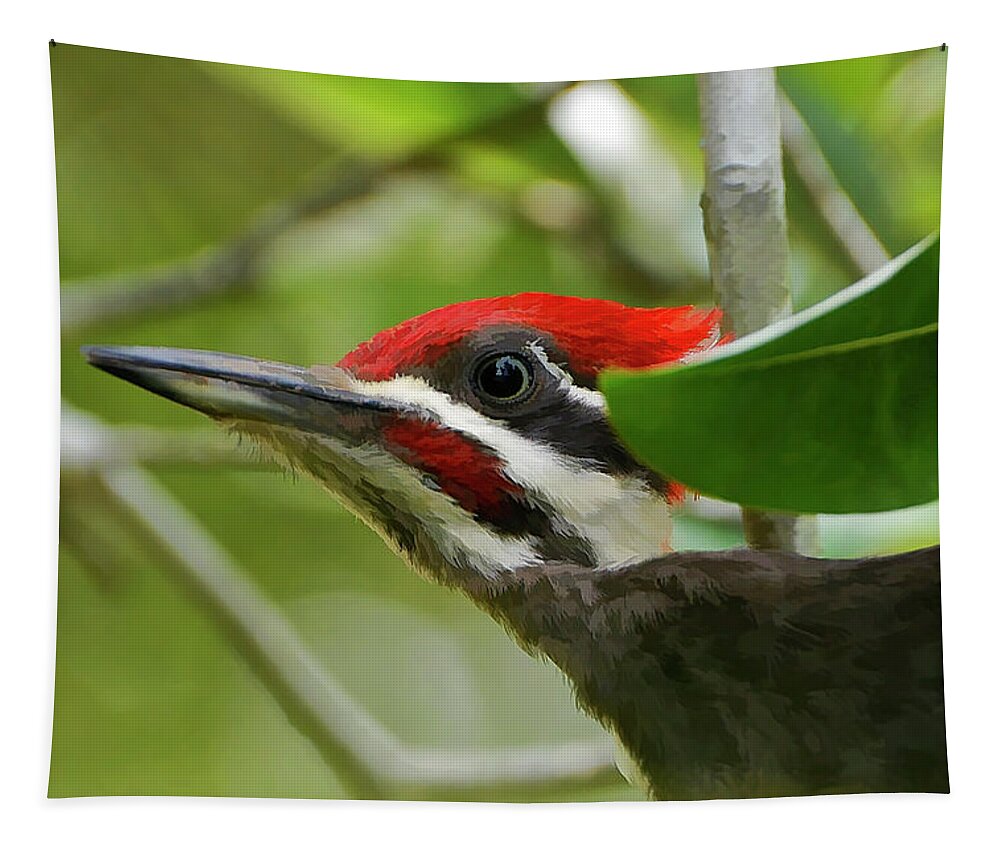 Pileated Woodpecker Tapestry featuring the photograph Woodpecker Portrait by Kathy Baccari