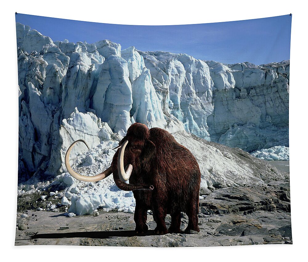 Woolly Mammoth Tapestry featuring the photograph Woolly Mammoth by Warren Photographic
