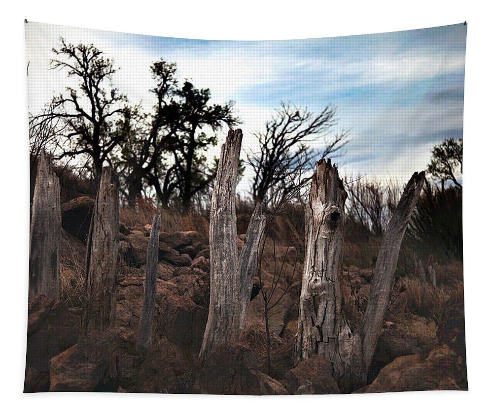 Drought Tapestry featuring the photograph World Without Rain by Toni Hopper