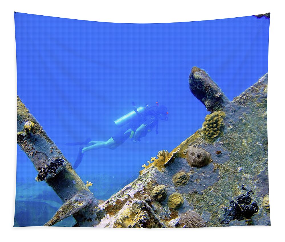 Scuba Tapestry featuring the photograph Wreck Framed by Climate Change VI - Sales