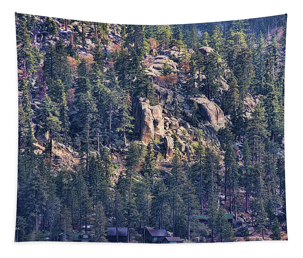 Top Tapestry featuring the photograph Wrinklely Rocks and Pine Trees by Paulette B Wright