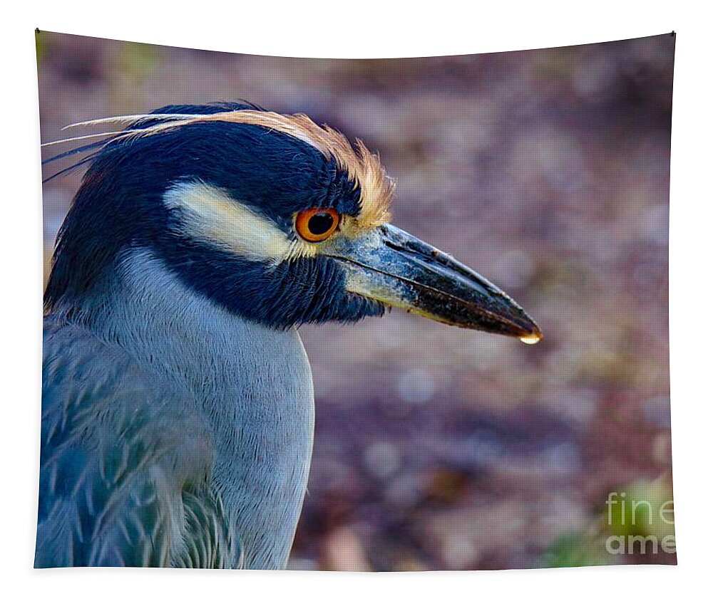 Bird Tapestry featuring the photograph Yellow-crowned Night Heron by Susan Rydberg