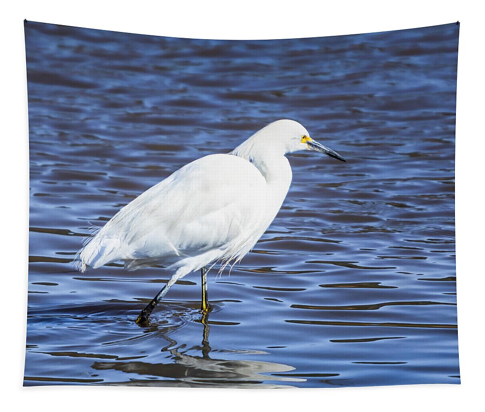 Snowy Egret Tapestry featuring the photograph Snowy Egret - Malibu Lagoon State Beach - Square by Gene Parks