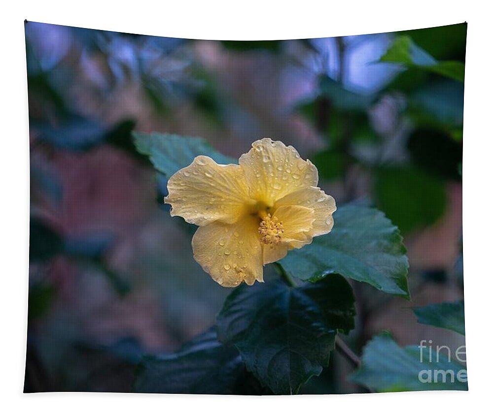 Hibiscus Tapestry featuring the photograph Yellow Hibiscus by Susan Rydberg