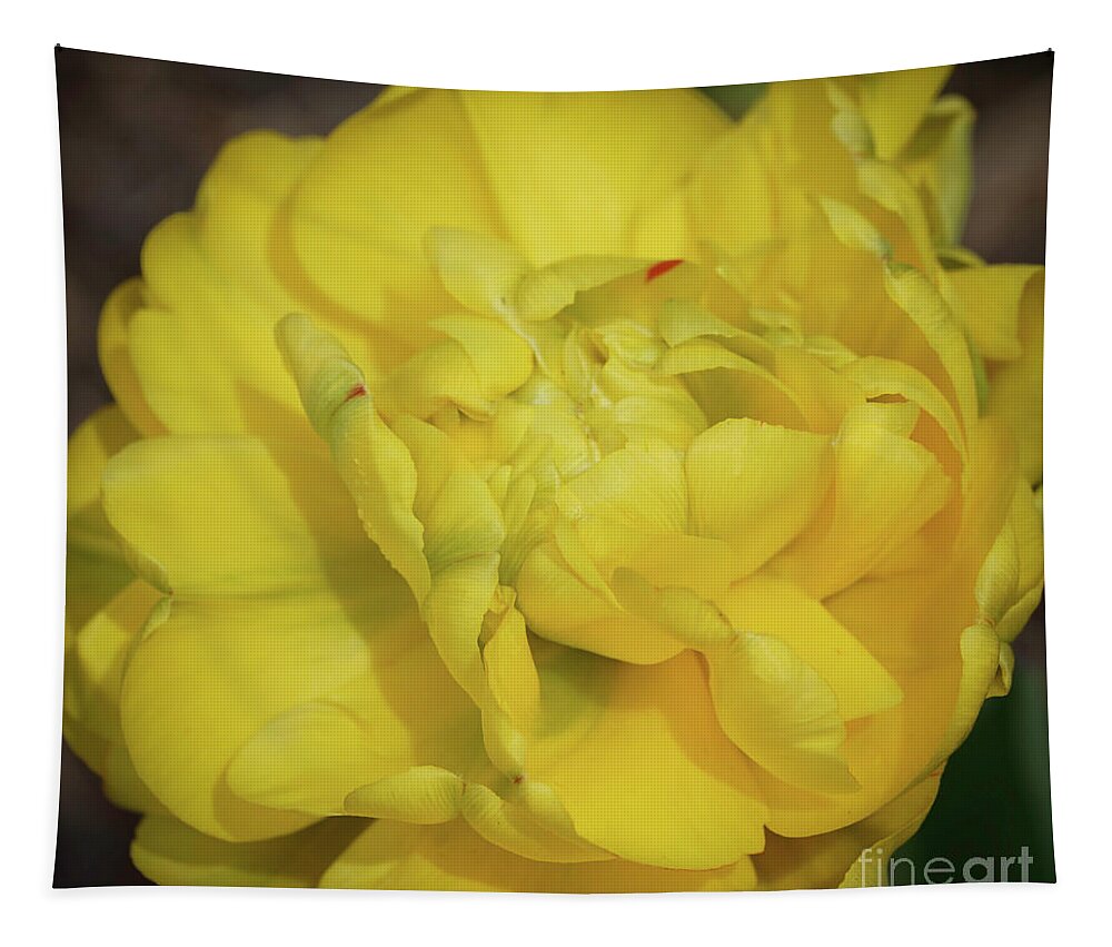 Flowers Tapestry featuring the photograph Yellow Parrot Tulip by Cathy Donohoue