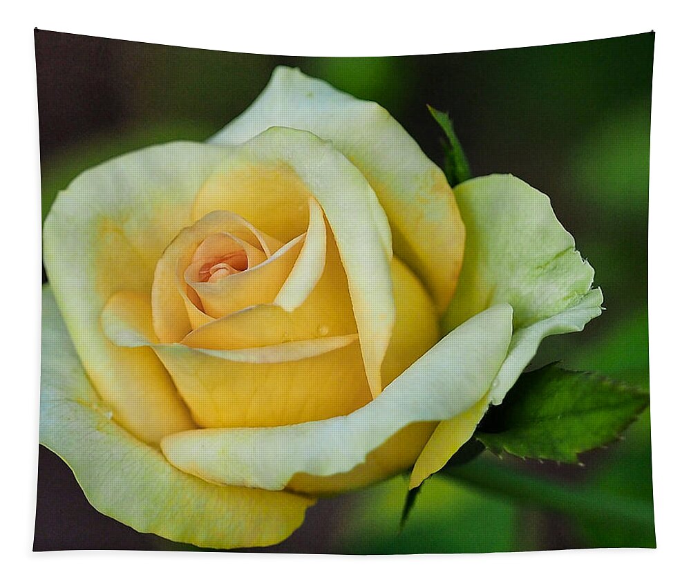 Rose Tapestry featuring the photograph Yellow Rose 2 by Jerry Connally