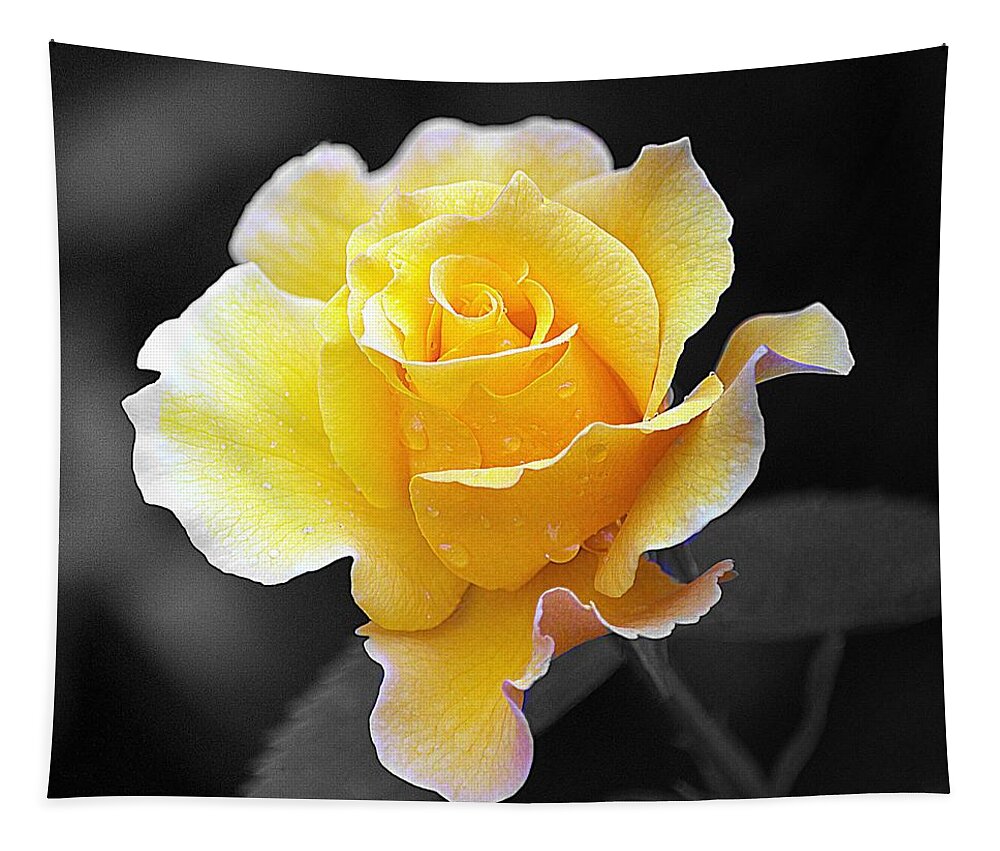 Art Tapestry featuring the photograph Yellow Rose II on Black by Joan Han