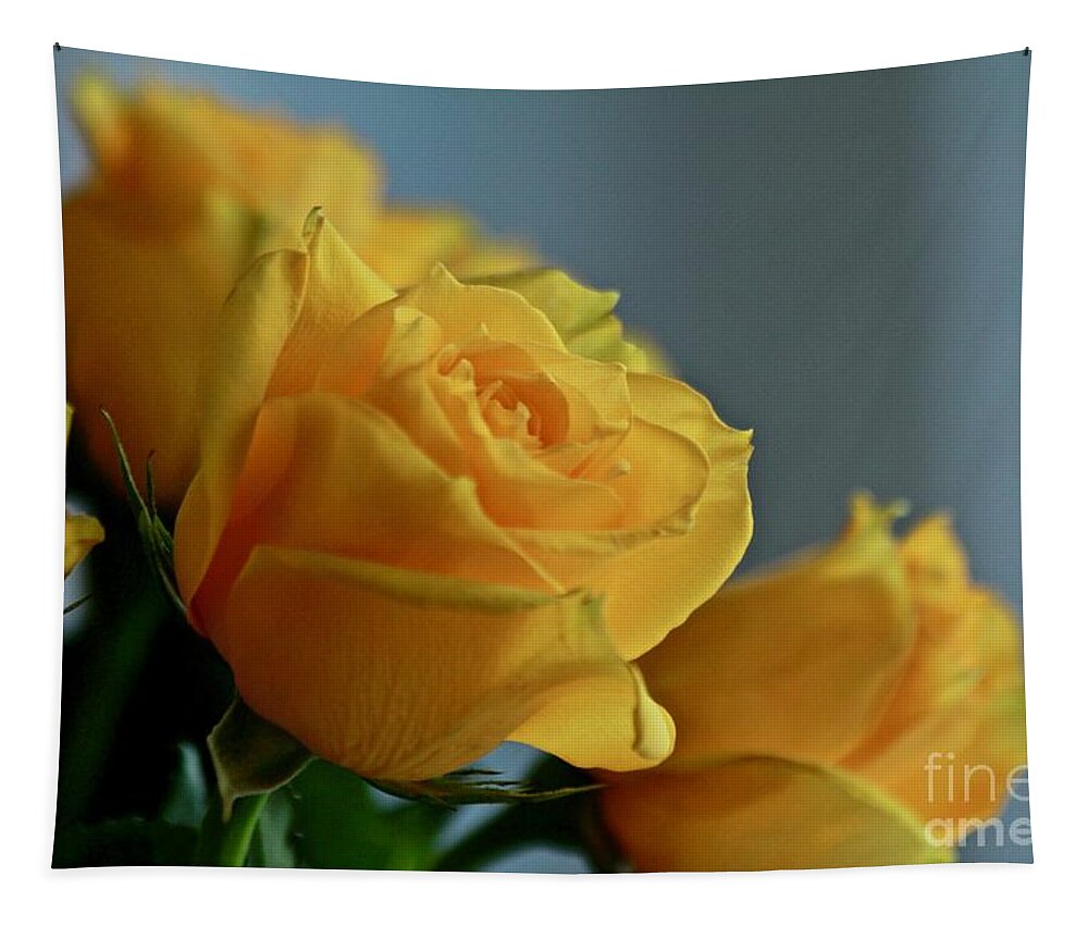 Rose Tapestry featuring the photograph Yellow Roses by Ann E Robson