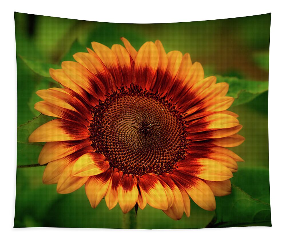 Sunflower Tapestry featuring the photograph Yellow Sunflower #2 by Allin Sorenson