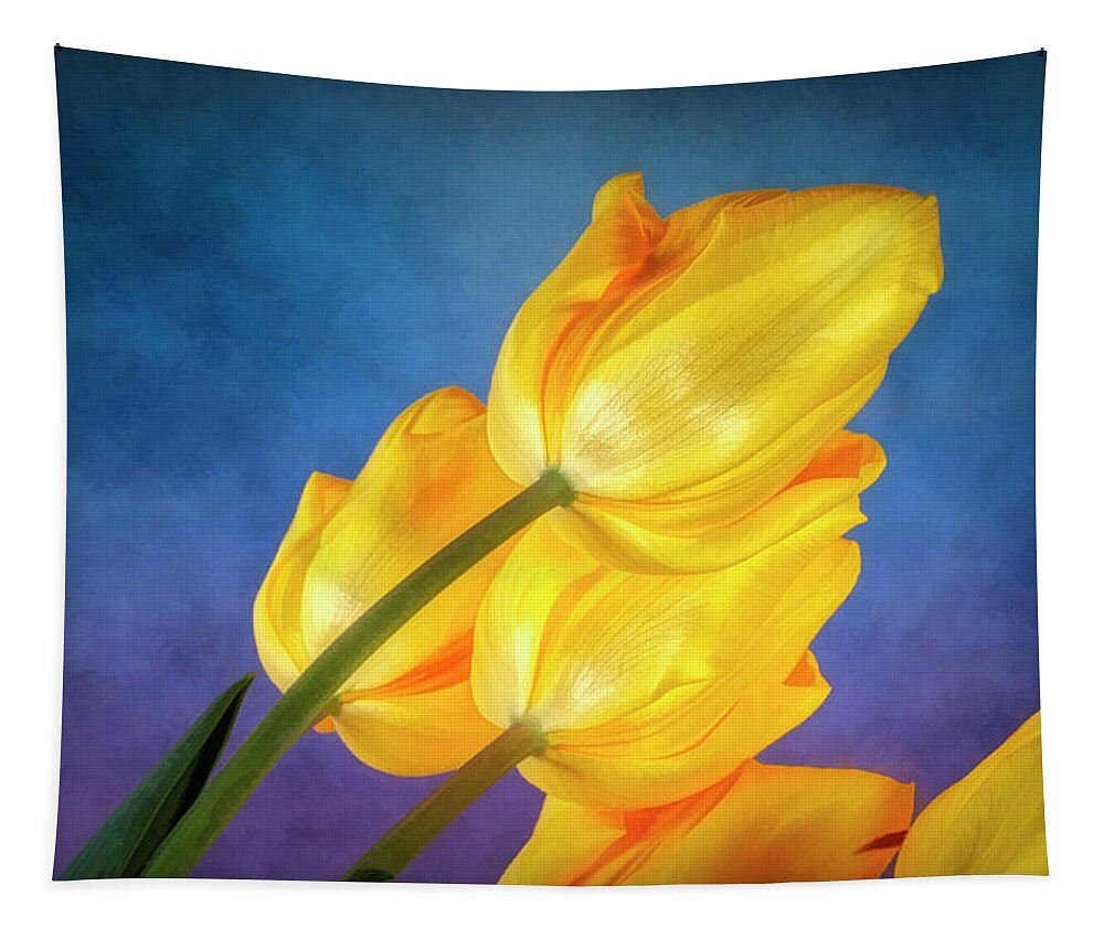 Flower Tapestry featuring the photograph Yellow Tulips on Blue by Tom Mc Nemar